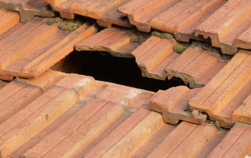 roof repair Trisant, Ceredigion